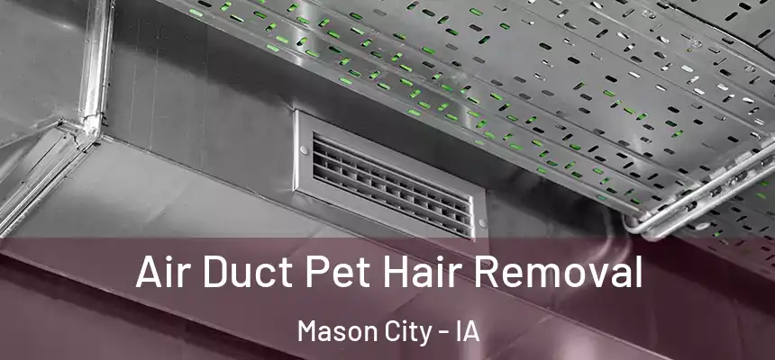  Air Duct Pet Hair Removal Mason City - IA