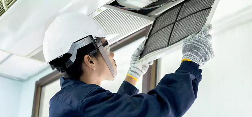 Our Mold & Mildew Removal from Air Ducts Services in Mason City, IA