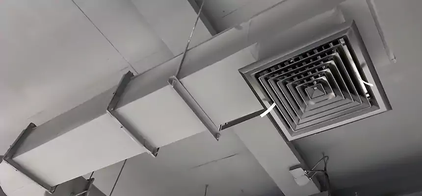 Our Pest Removal From Ducts Services in Mason City, IA