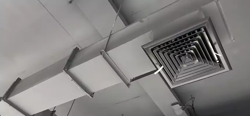 Our Rodent Droppings In Vents Services in Mason City, IA