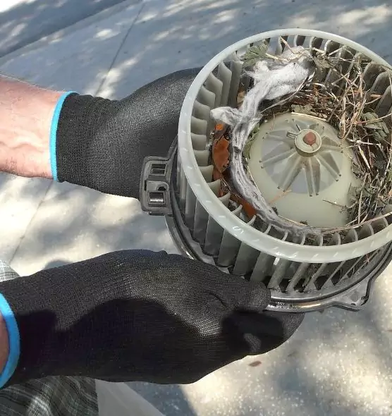 About Air Duct Rat Removal in Mason City, IA