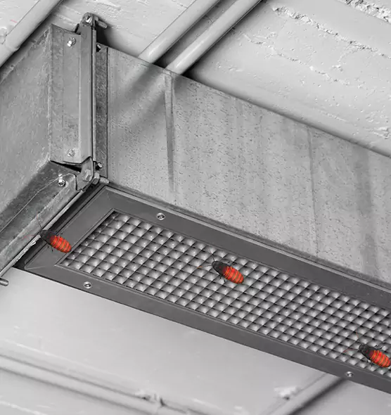 Affordable Insect Removal from Air Ducts in Mason City, IA