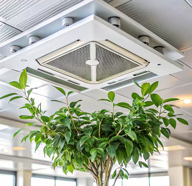 Why Homeowners & Businesses Trust Us in Mason City, IA?